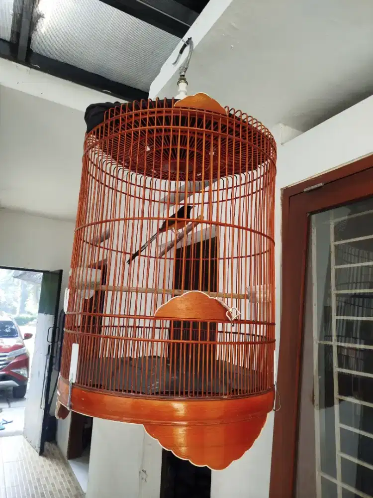MB Double Ring PE 16. Kandang Ebod