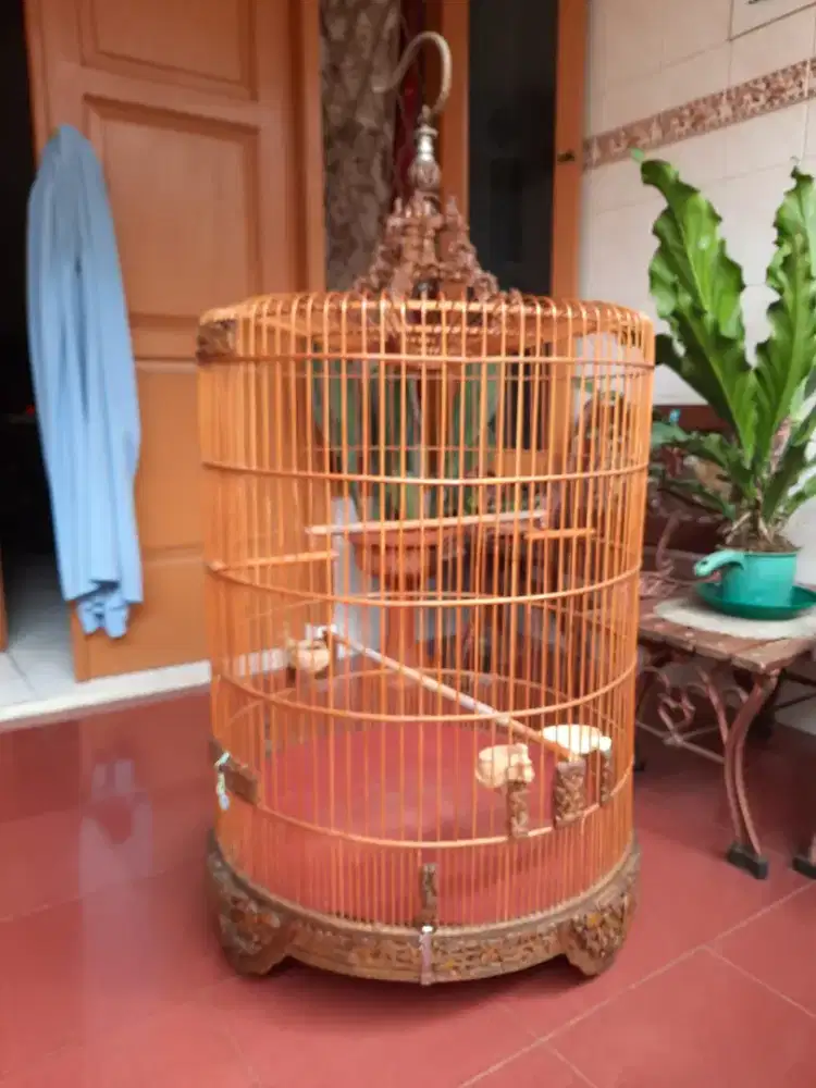 Kandang burung murai