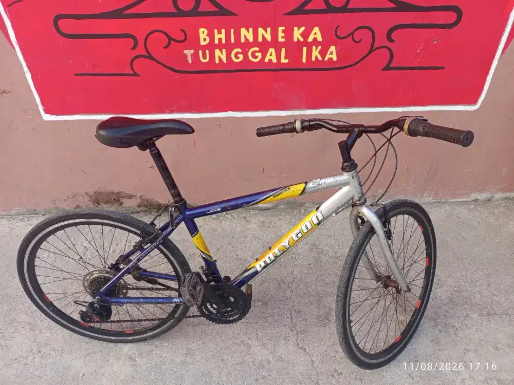 Sepeda polygon monarch jadul lawas kalcer