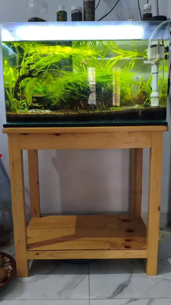 Aquarium set aquascape