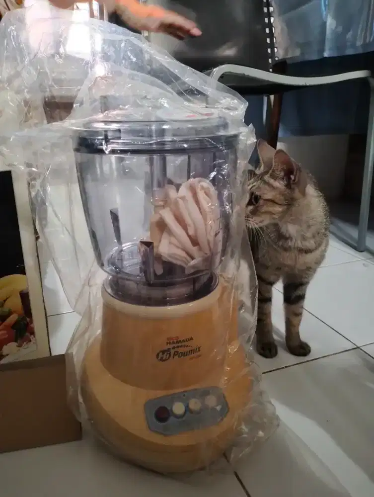 Mini Copper Blender HAMADA