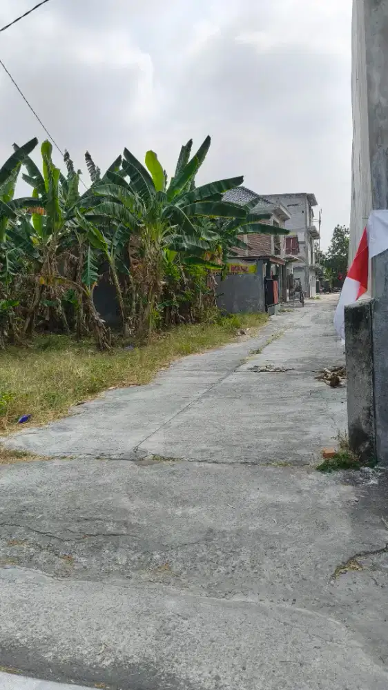 Di jual tanah kavling murah nego