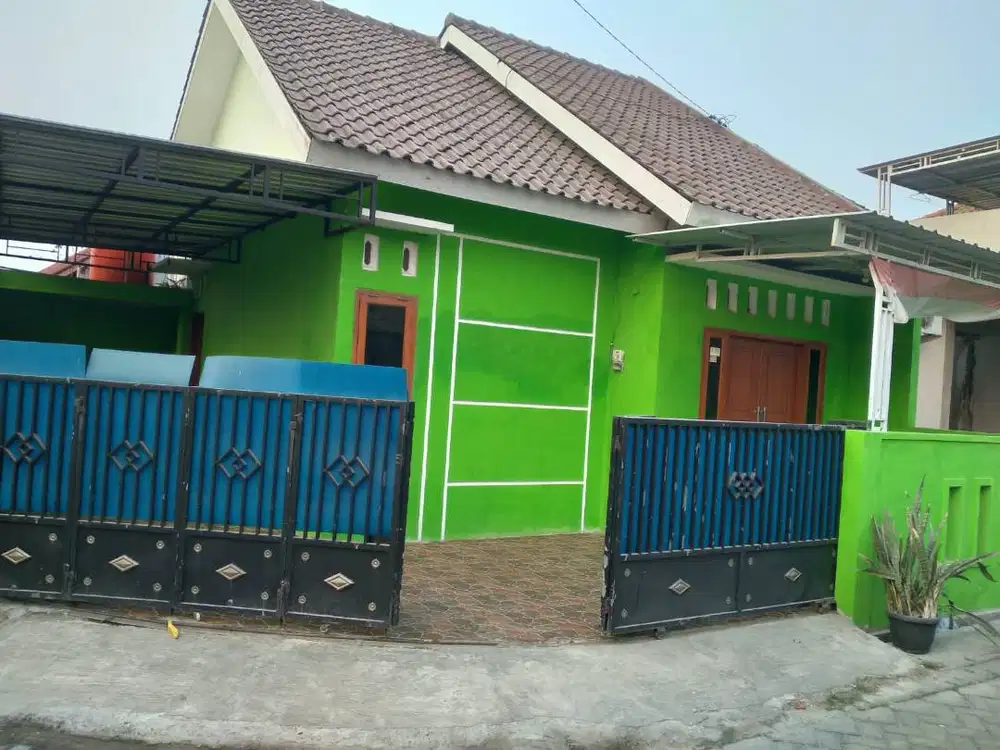 Disewakan rumah 1 lantai