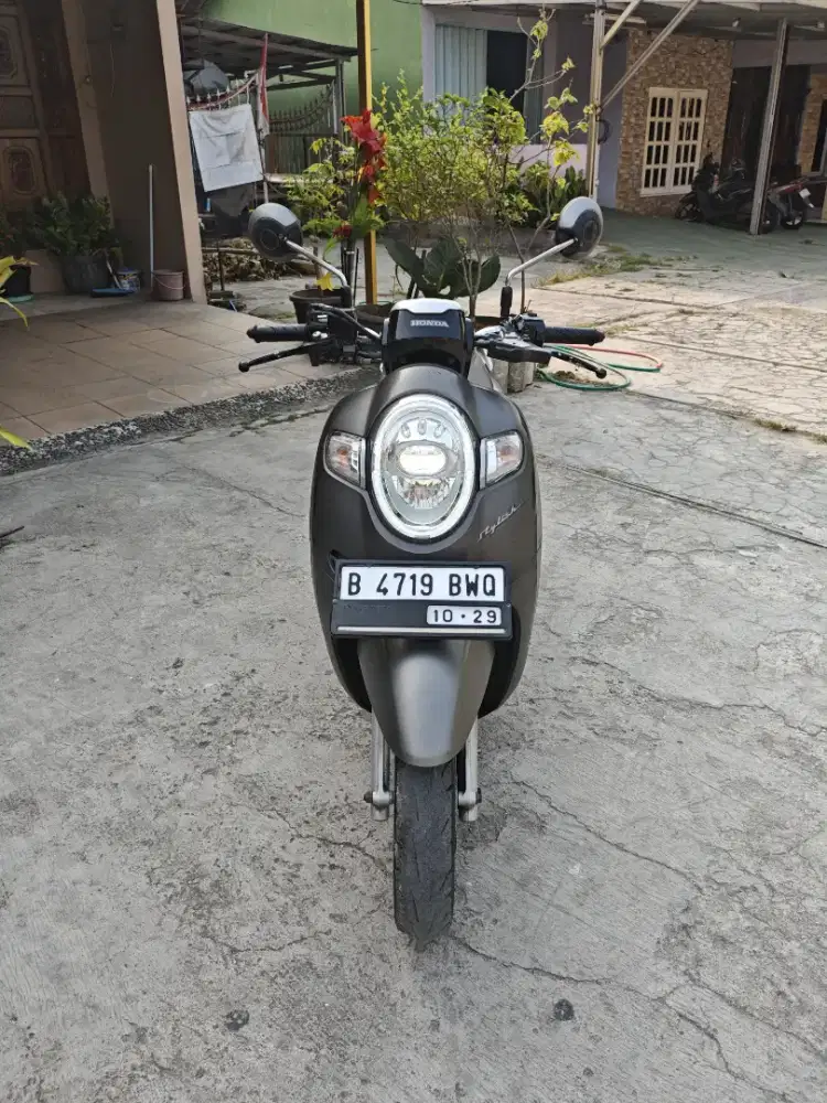 •Hot salen Honda Scoopy Stylish