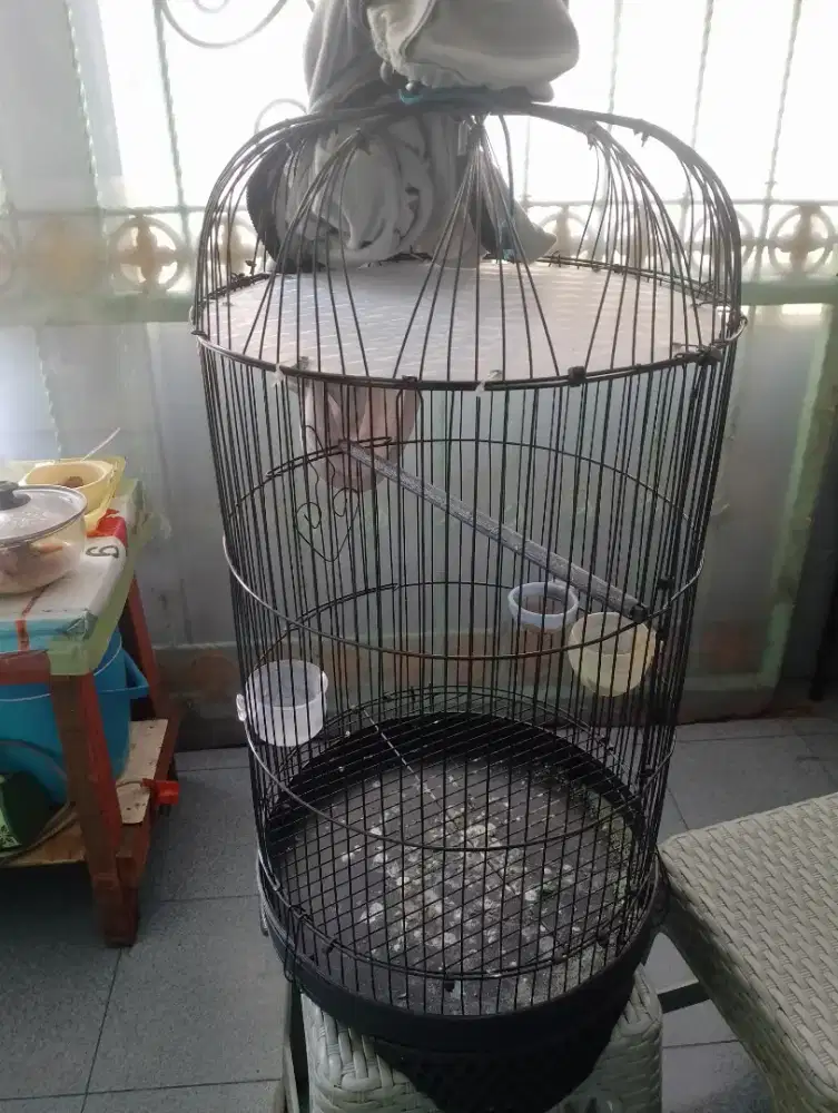 Sangkar Lovebird