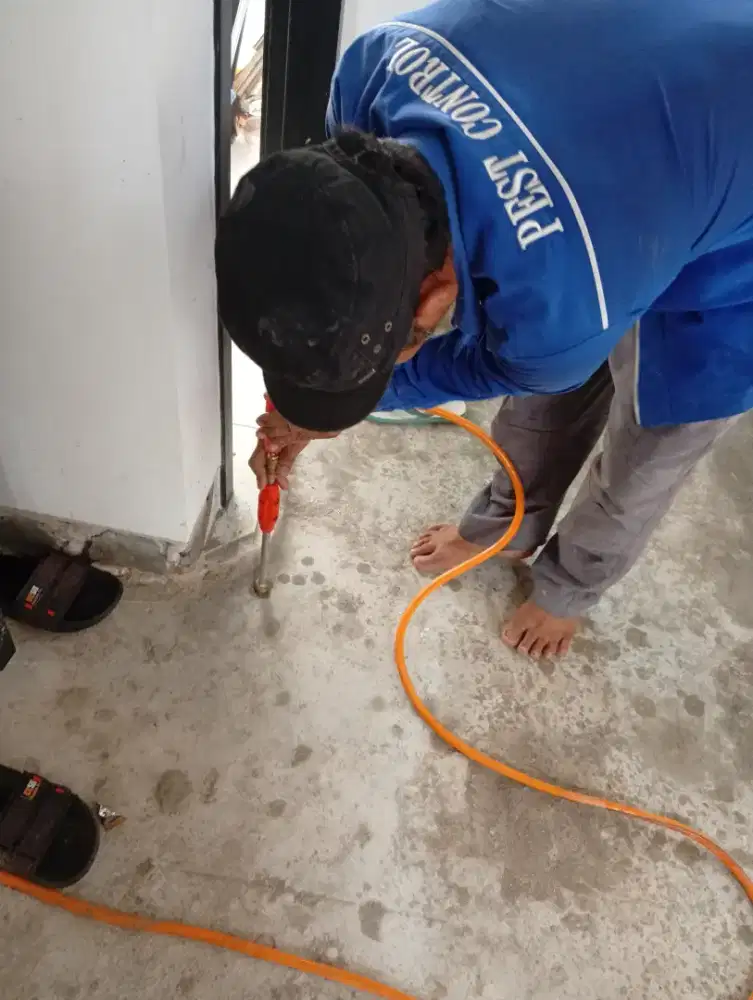 Anti rayap, suntik rayap bergaransi