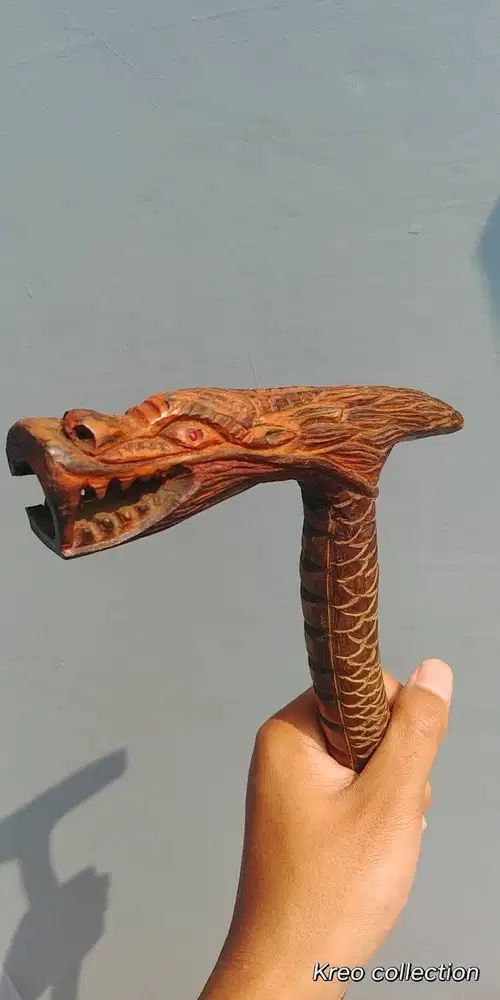 Tongkat Naga Hutan Jati Cirebon