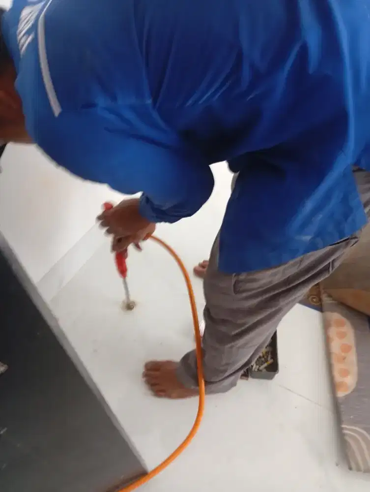 Jasa anti rayap Jabodetabek