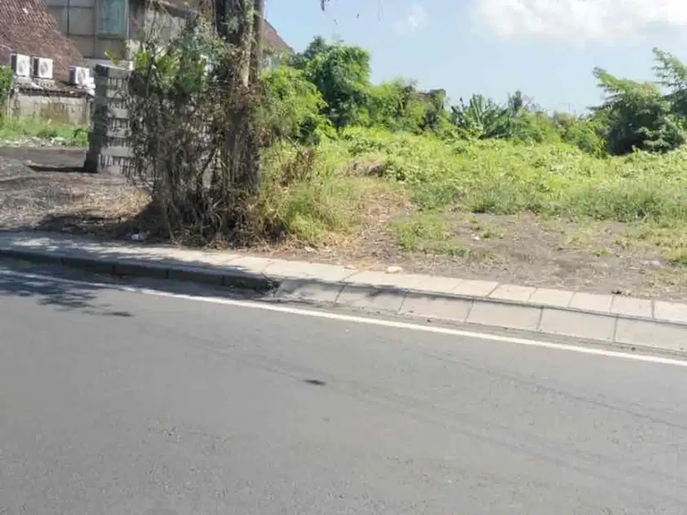 Di sewakan tanah 10are cocok untuk segala usaha di mainroad Canggu pinggir jalan.