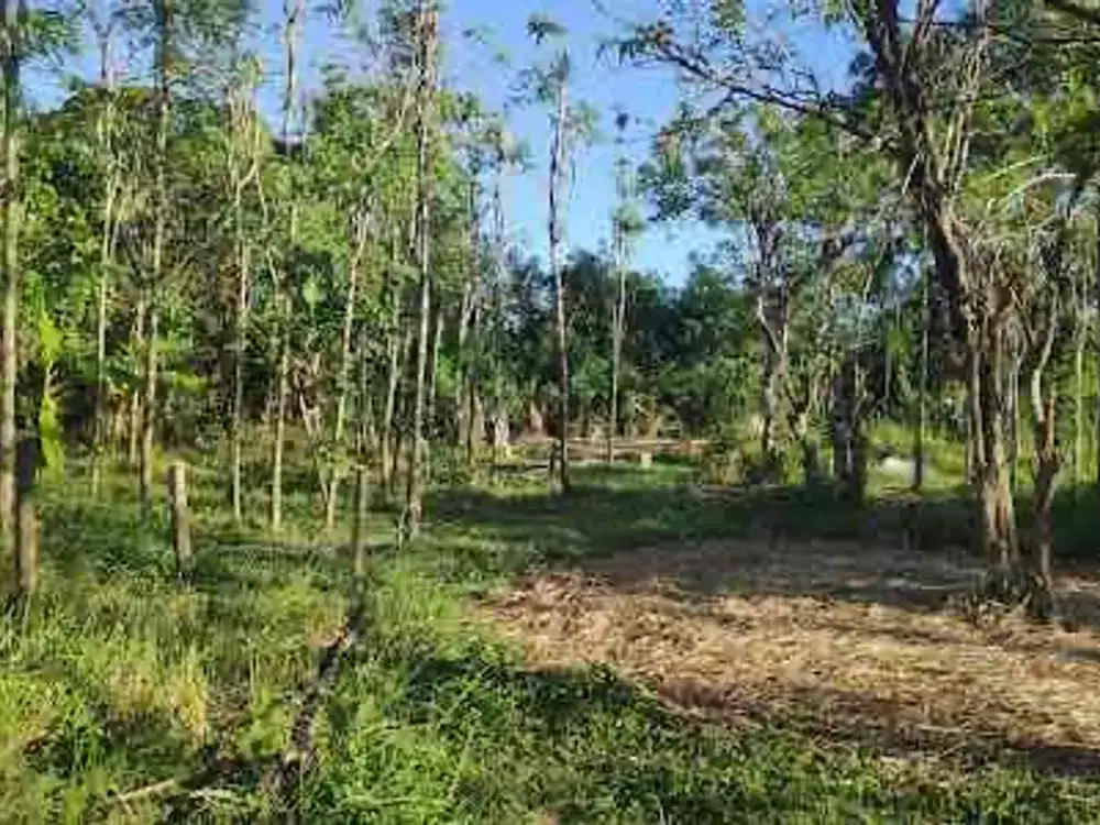 Dijual Tanah Kavling di Jimbaran Bawah