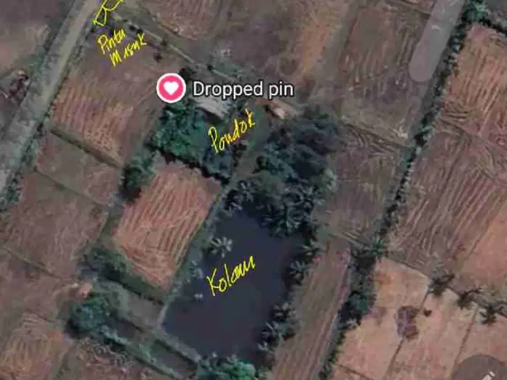 Jual Tanah Subur di Blang Bintang