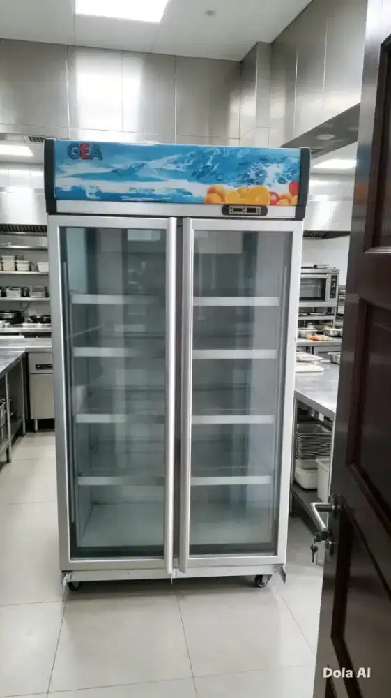 Showcase 2 pintu GEA