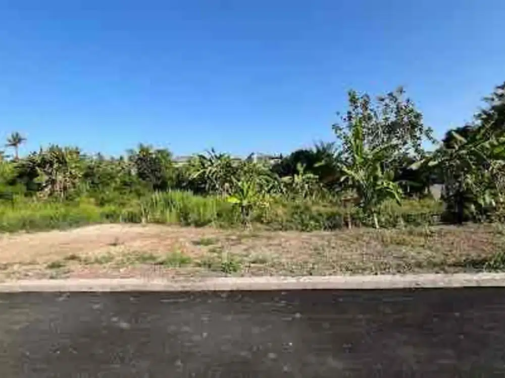 Dijual Tanah Kavling di Kawasan Pering Blahbatuh Gianyar