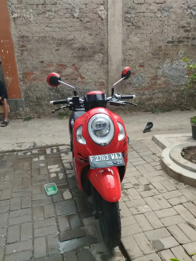 Scupy 2021 ss kumplit plat f pajak 2026 15juta nego