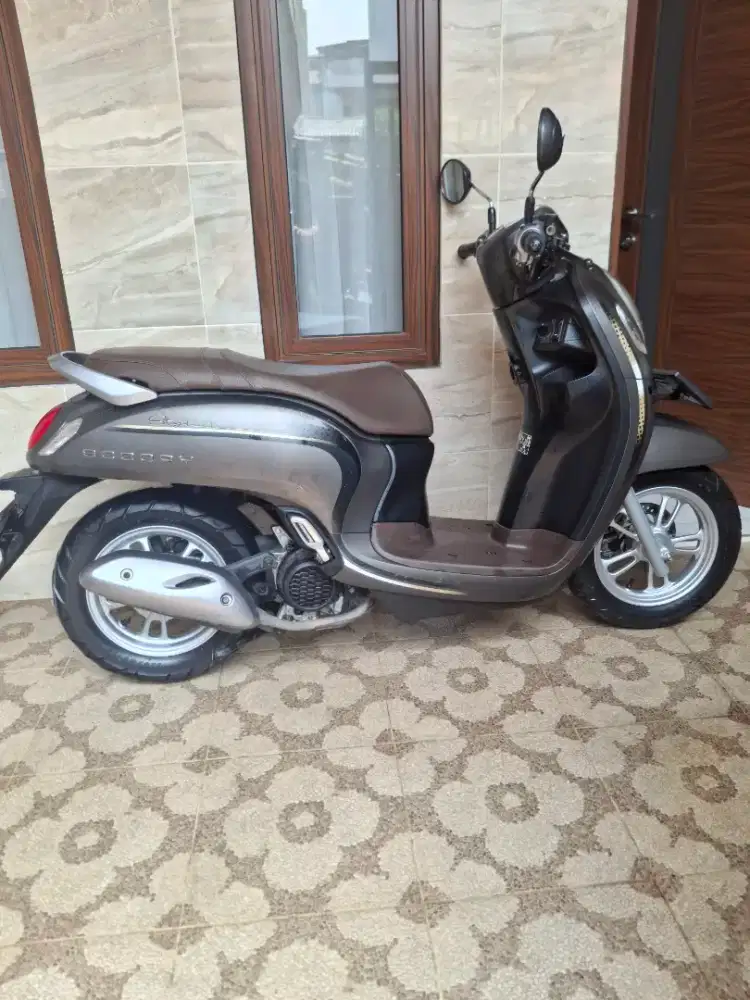 Scoopy Stylish Brown 2023