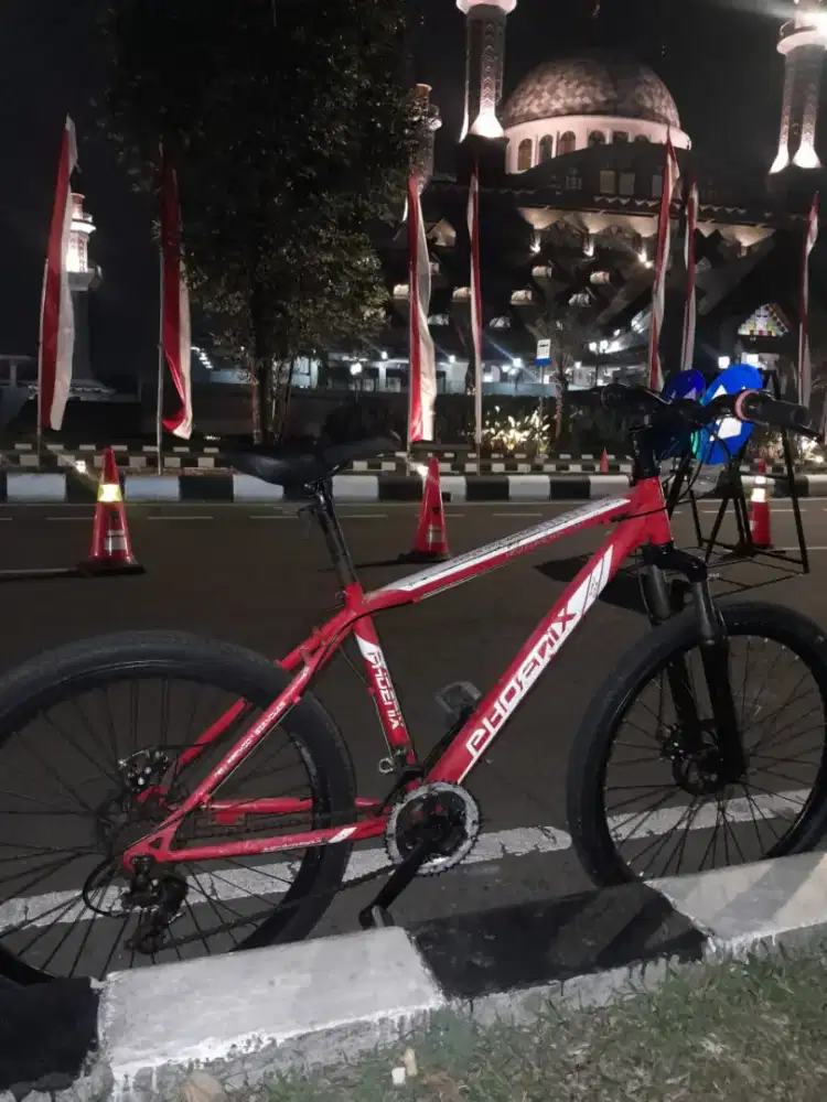 mtb phoenix uk 26
