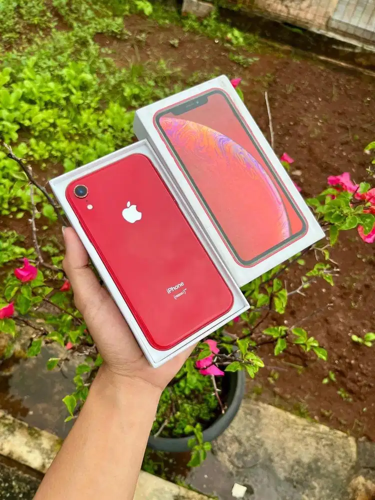 iphone xr red product