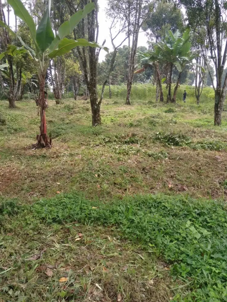 Jual cepat tanah di wado sumedang