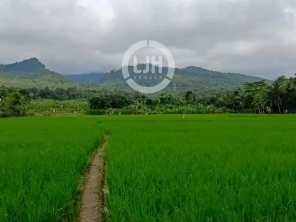 Tanah Dijual di Lippo Carita Pandeglang Banten