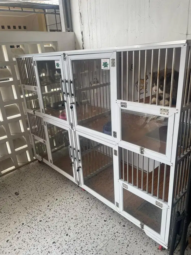 Kandang Kucing Alumunium Jumbo Bonus Kucing BLH