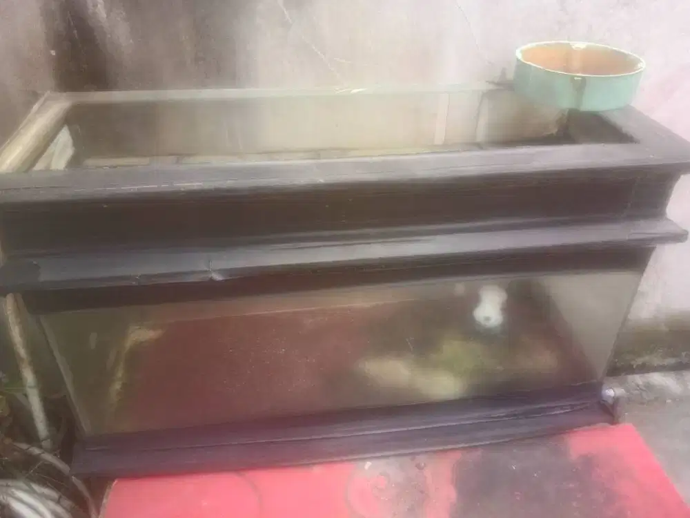 JUAL AQUARIUM HIAS MURAH 100X40X50