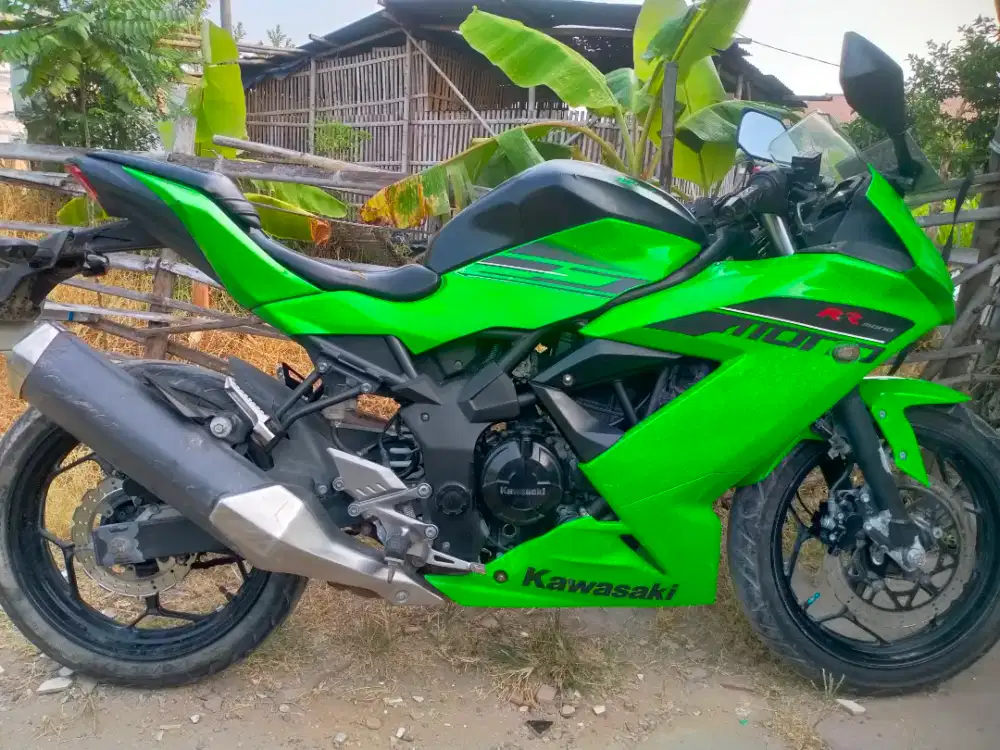 Ninja 250 FI RR Mono TT/BT