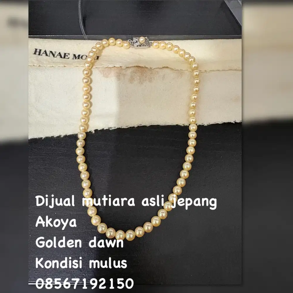 Mutiara Jepang Asli (Akoya) Golden Dawn