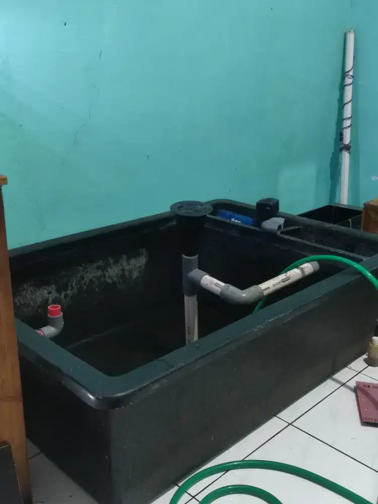 Bak Fiber Ikan Kondisi Sangat Bagus