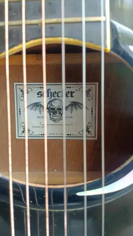 Gitar akustik elektrik schecter