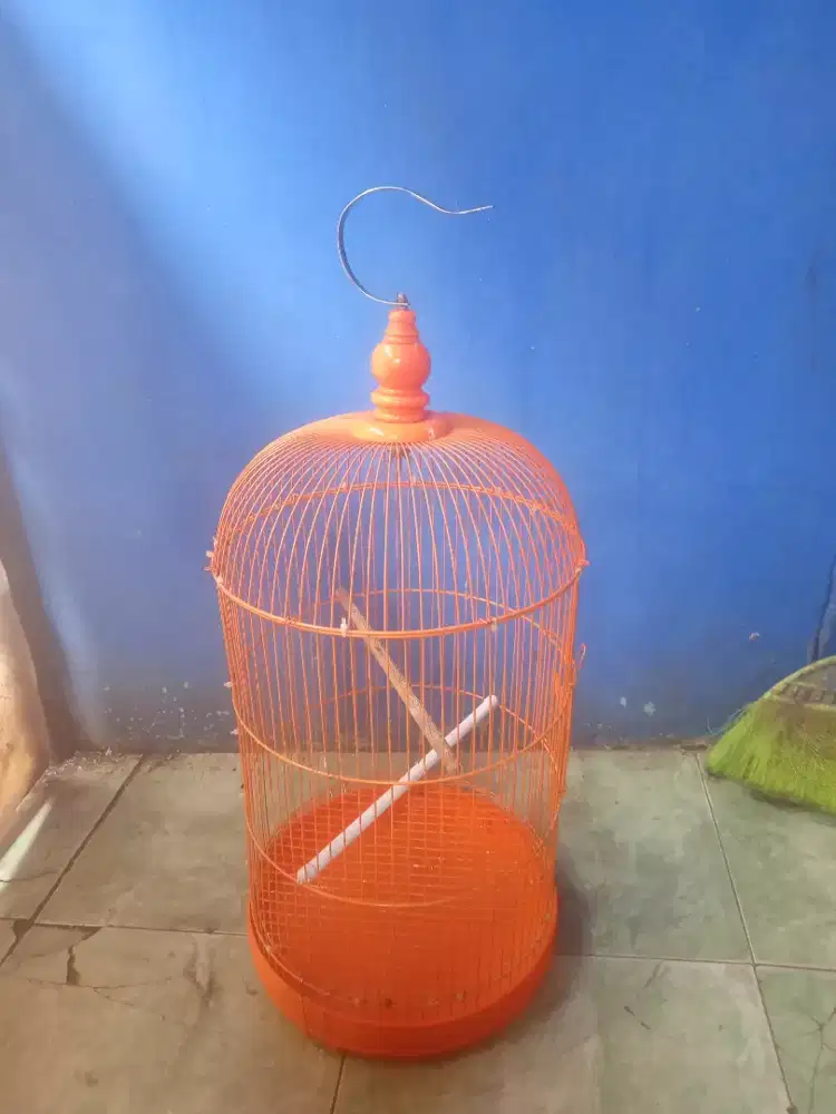 KANDANG LOVEBIRD