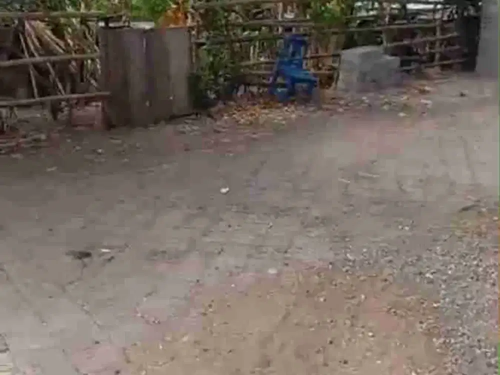 di jual tanah dengan luas 50are di mumbul