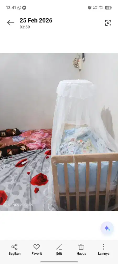 Ranjang bayi , ..