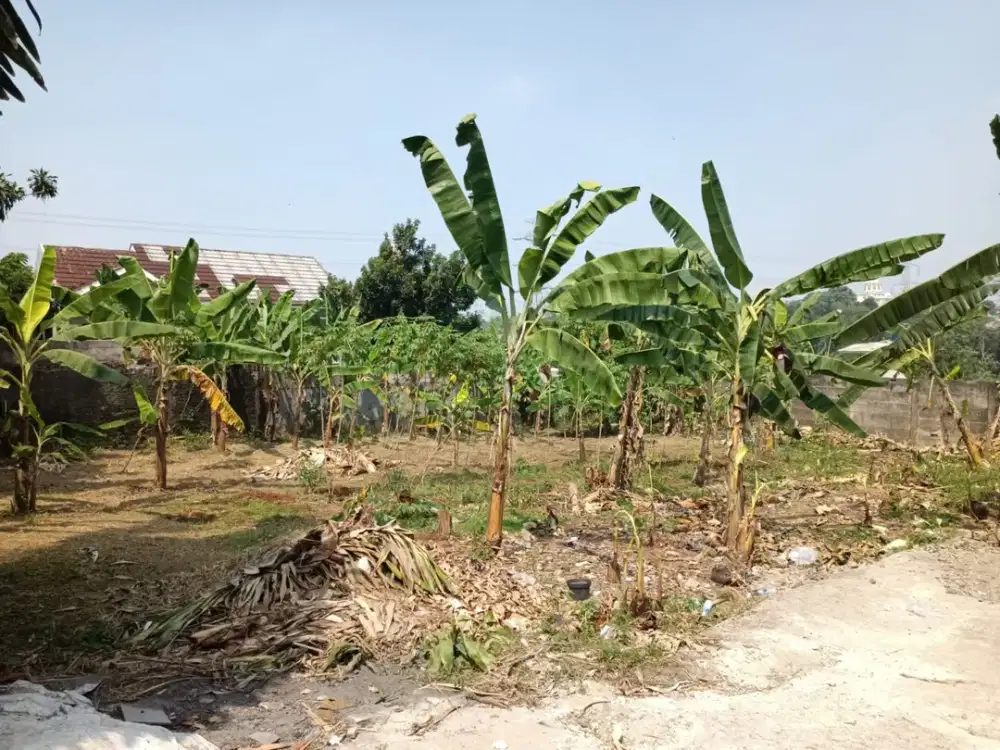 Dijual Tanah Di Sawangan Depok Luas 500 Meter Dekat Masjid Kubah Emas
