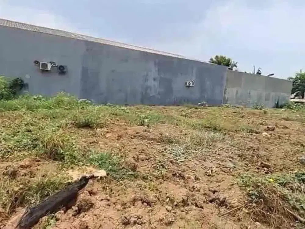 Disewakan Murah Tanah Padat Dengan Harga Murah Di Babelan. Kabupaten Bekasi