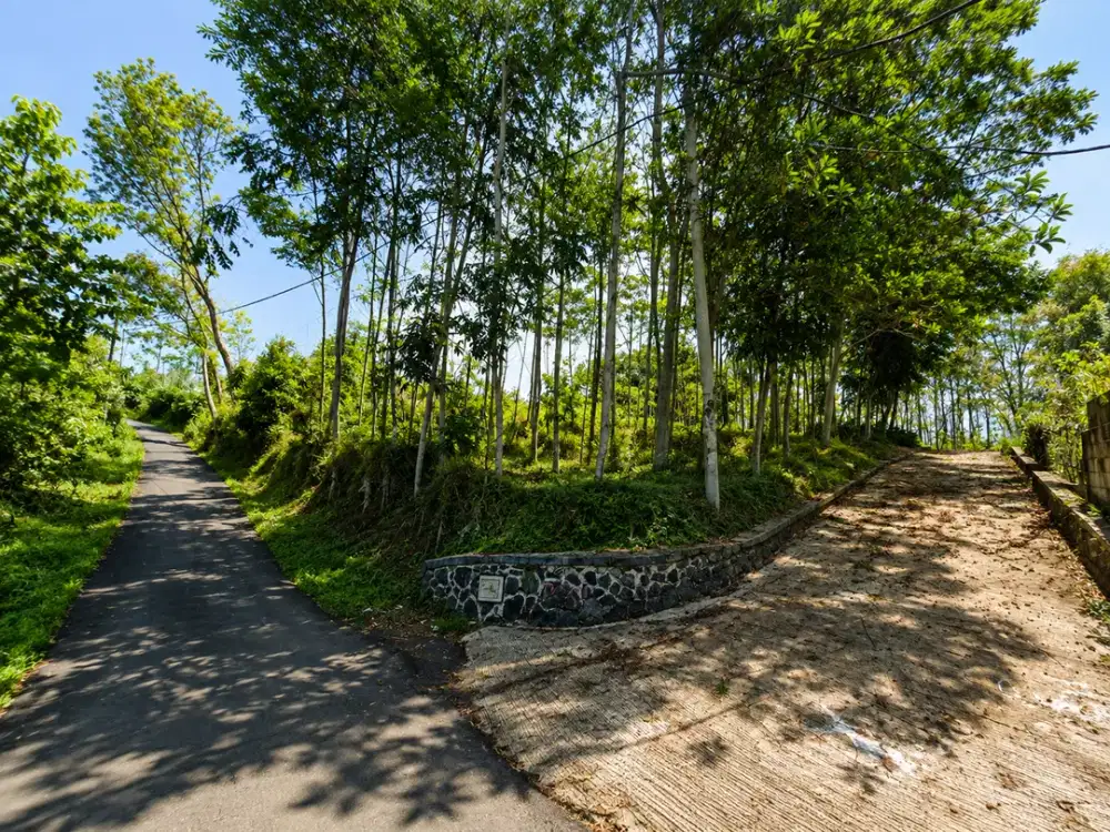 Tanah Luas 3,89 Ha Dijual di Babakan Karet Cianjur untuk Investasi