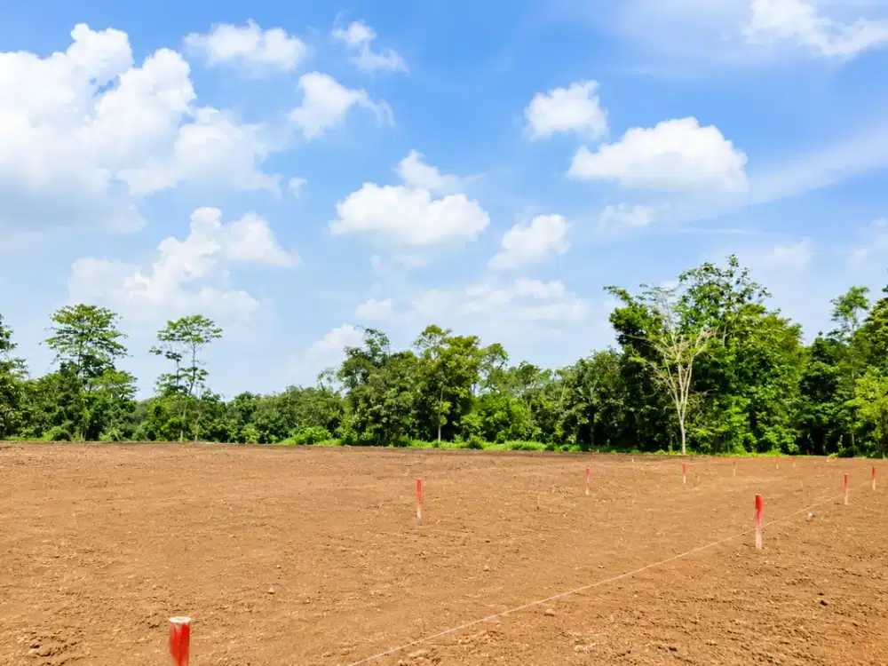 Miliki Kavling Strtegis DI Area Berkembang Cisauk Dekat Perumahan Hiera BSD