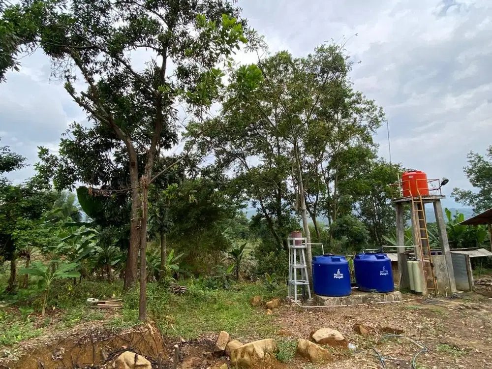 Jual Tanah Peternakan Ayam 9000 m harga nego