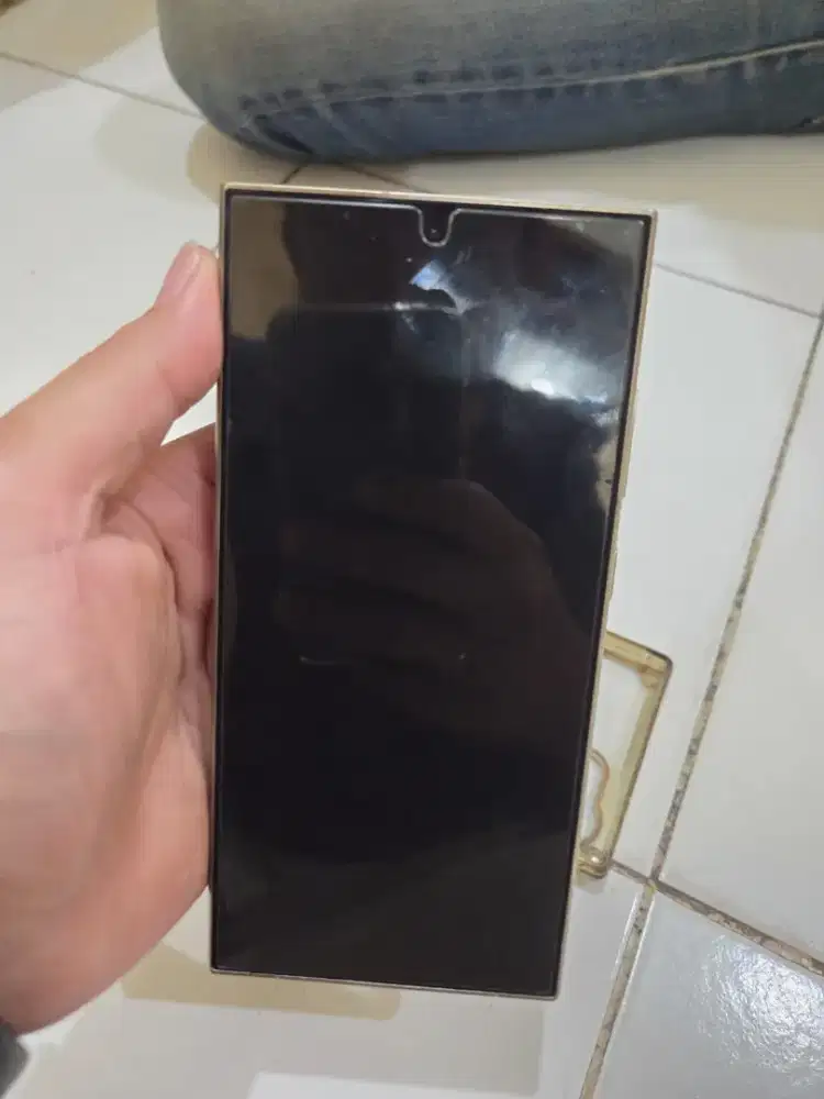 Samsung S24 Ultra 512