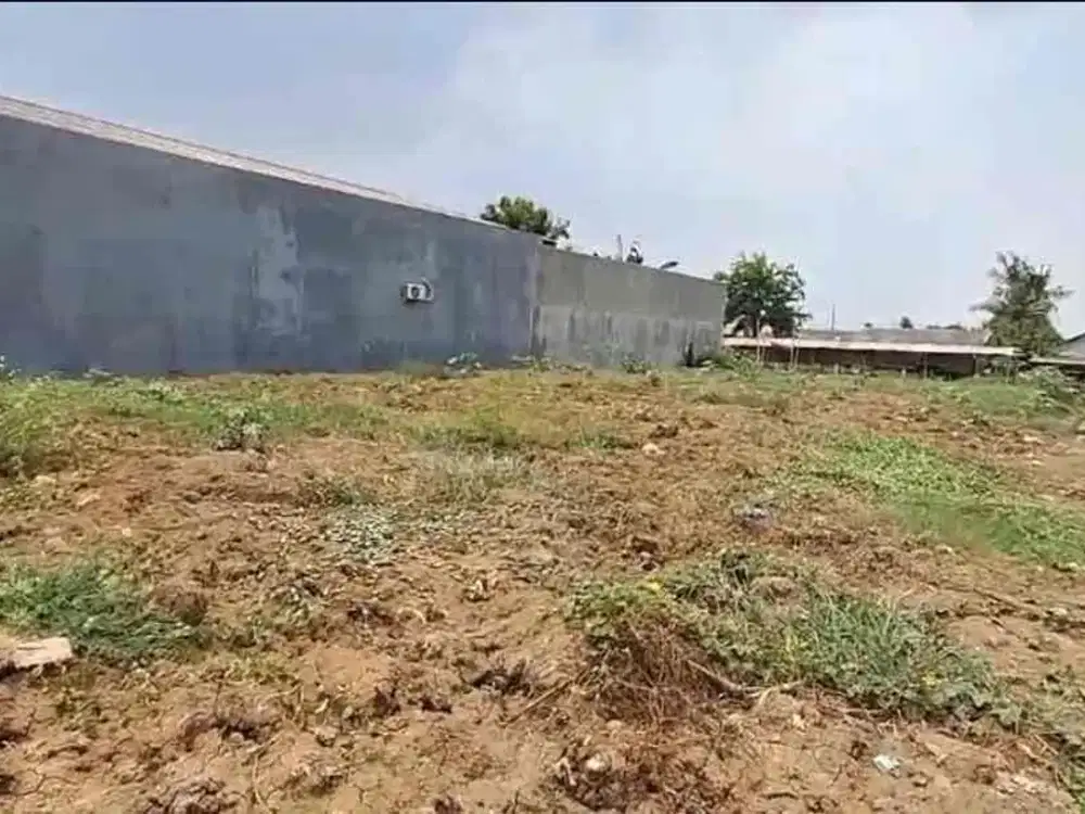 Disewakan Tanah Padat Dengan Harga Murah Di Babelan. Kabupaten Bekasi