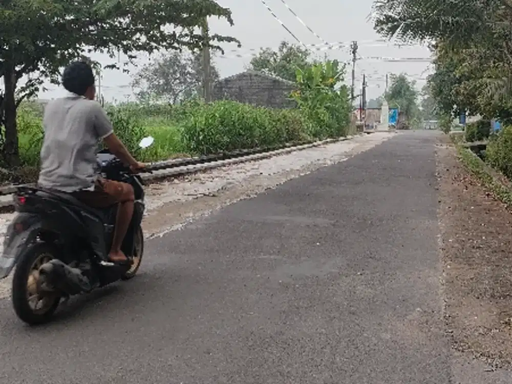 Dijual sawah zona kuning di manisrenggo akses mobil papasan