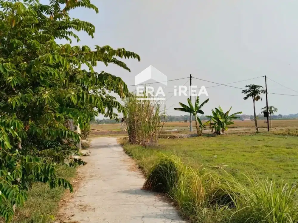 TANAH DIJUAL DI SOLO SELATAN DEKAT PASAR GLONDONGAN