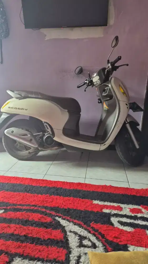Scoppy casles milik pribadi