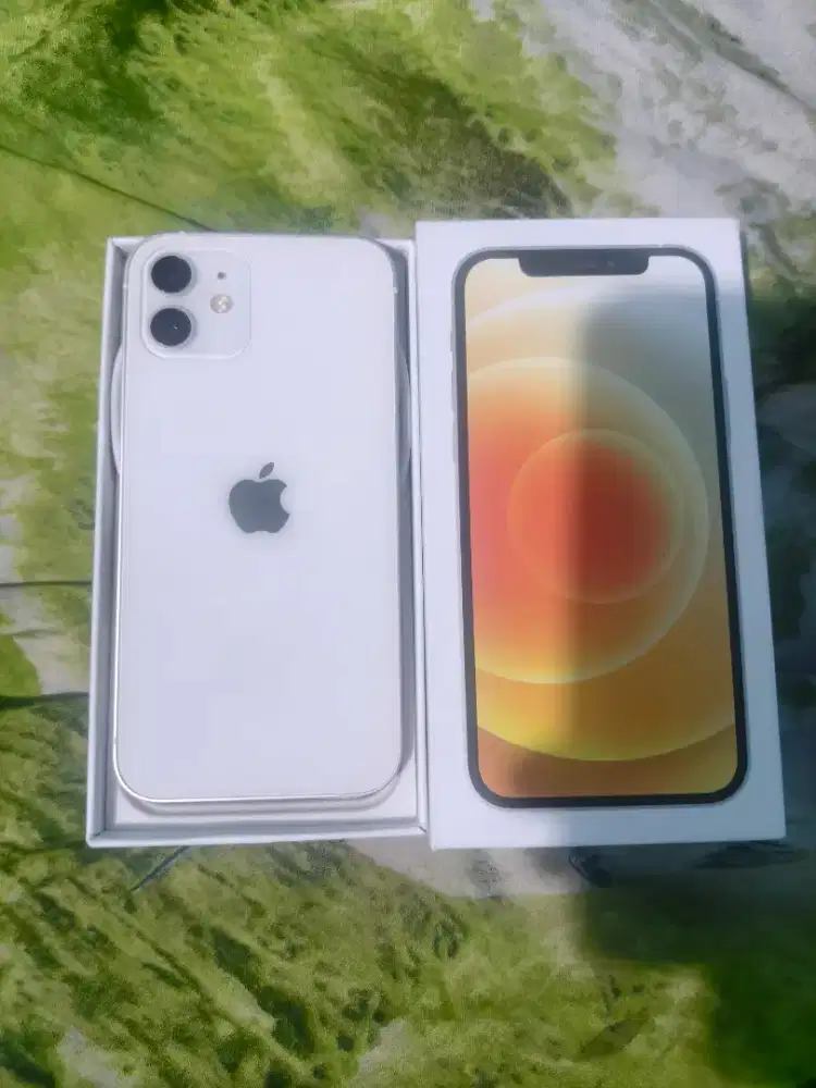 Iphone 12 Mulus 128gb