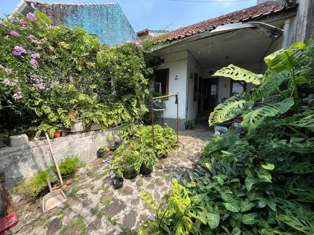Rumah Lama Harga Murah di Mainroad Cigadung Bandung – Potensi Investasi Tinggi!