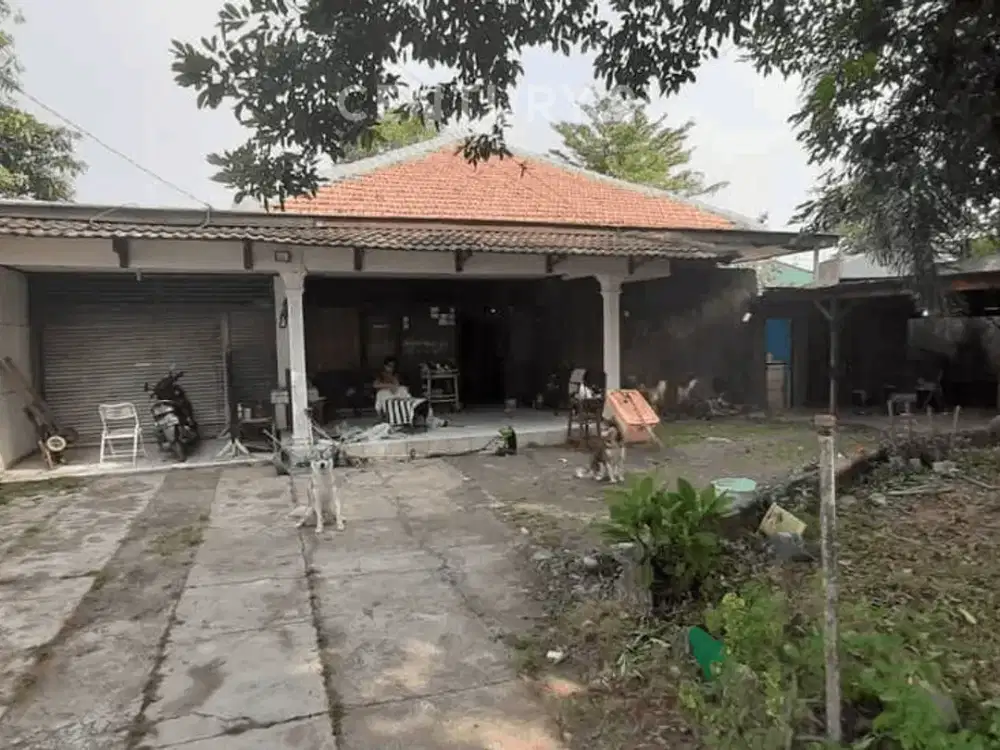 Rumah Tua Lokasi Strategis Di Pondok Bambu S5808