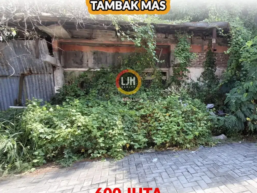 Dijual Tanah Tambak mas – Akses Mudah & Strategis