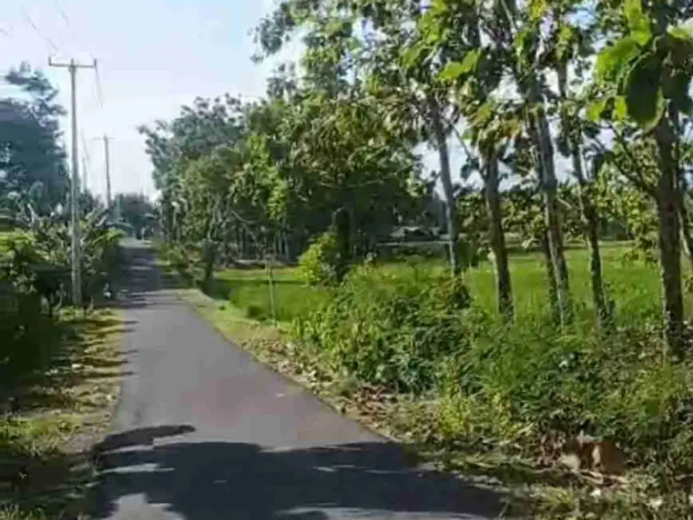 LAND FOR SALE – CUPEL JEMBRANA