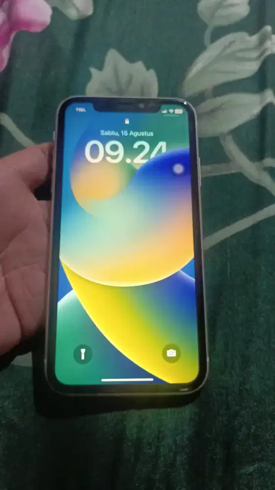 Iphone 11 64GB mulus