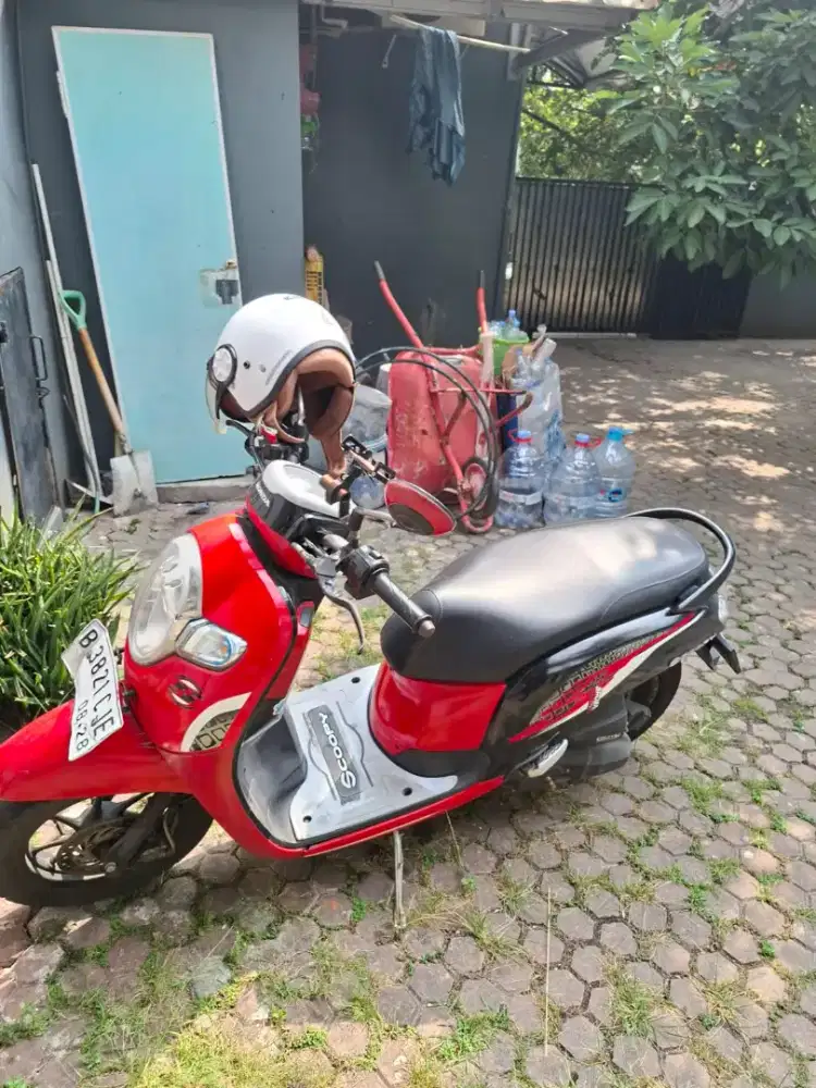 HONDA SCOPPY 2019
