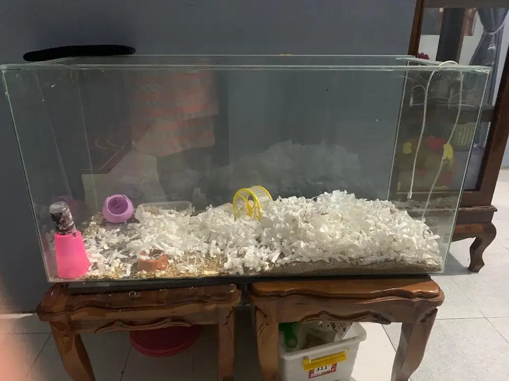 kandang hamster